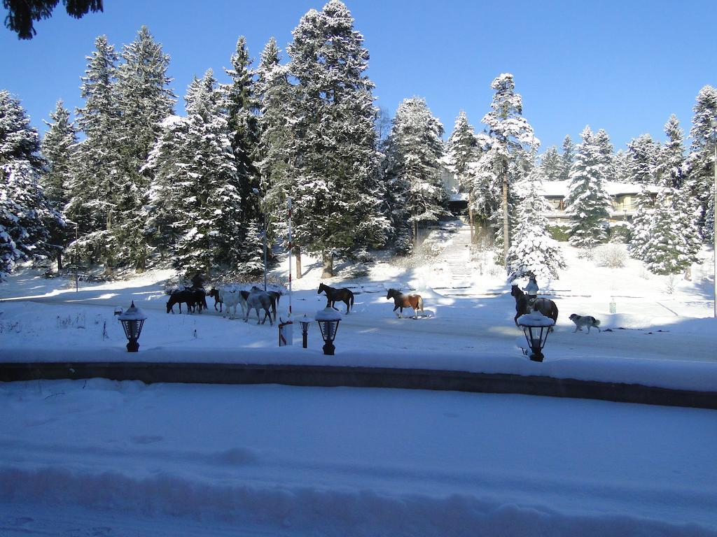 Villa Ibar Borovets Exterior foto